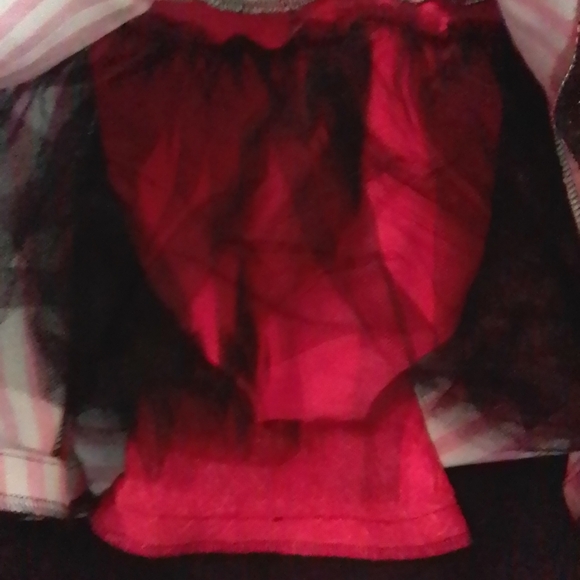 Competition Costume - Picture 3 of 6